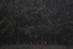 2012_MilanoRapallo_155