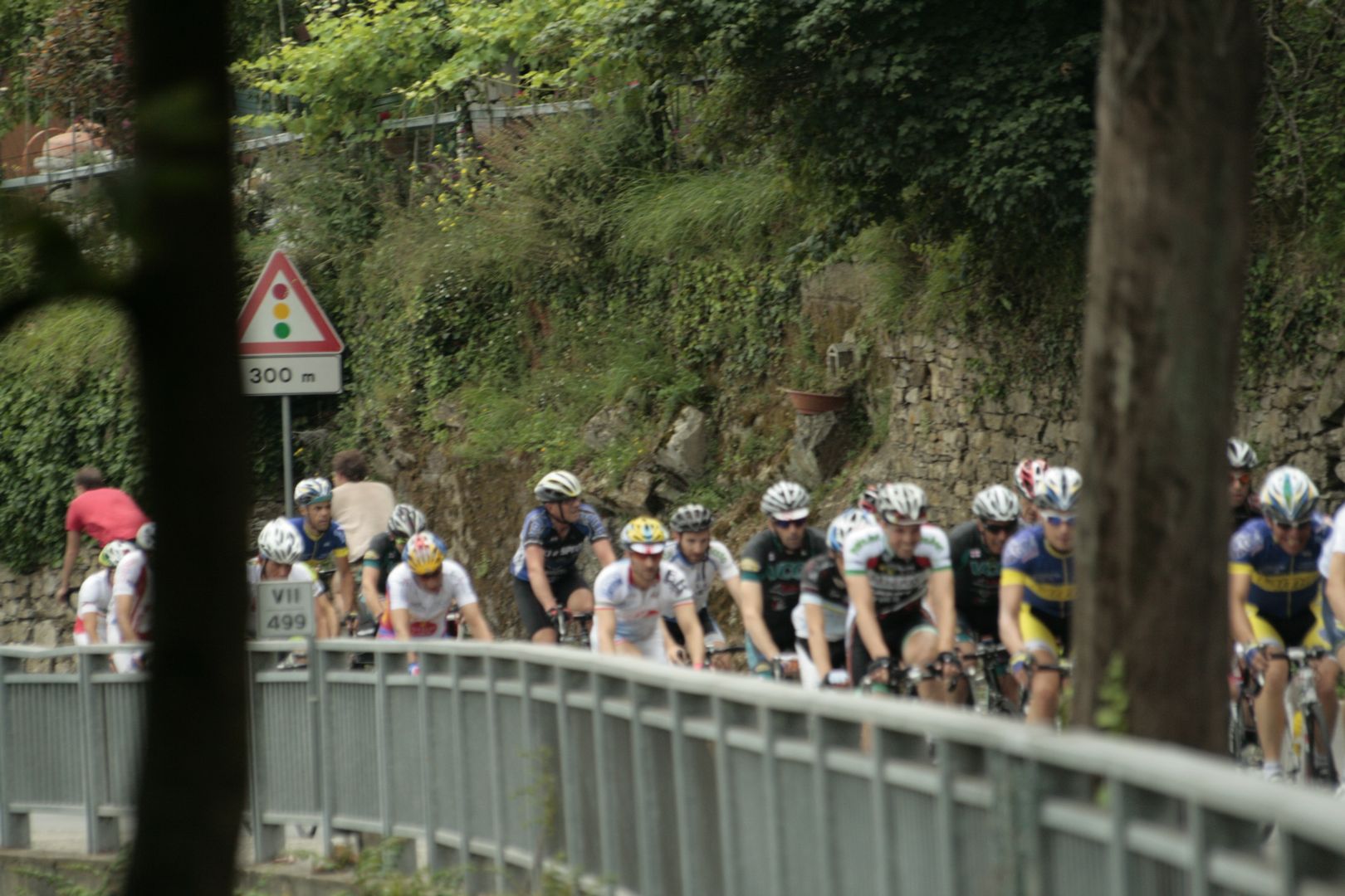2013_Montallegro_189