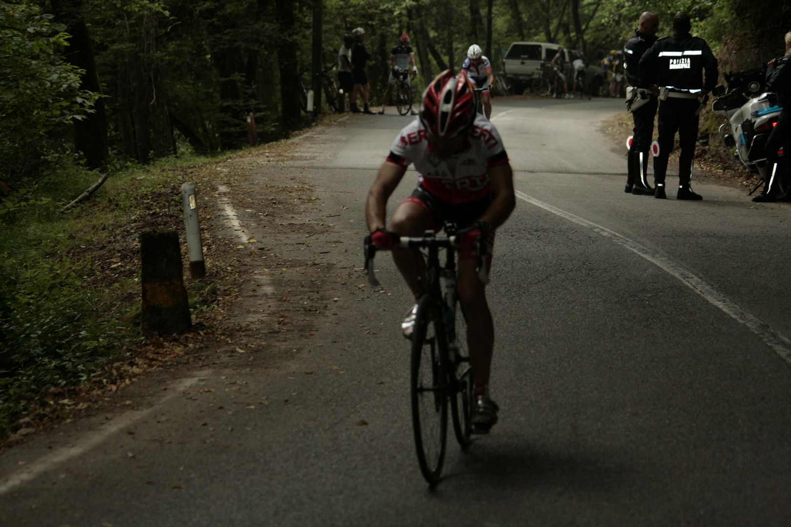 2013_Montallegro_284