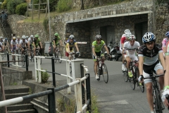 2013_Montallegro_057