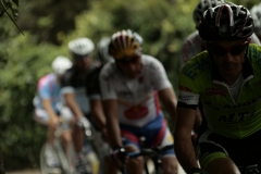 2013_Montallegro_144