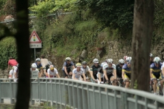 2013_Montallegro_189