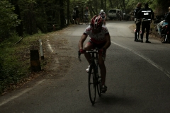 2013_Montallegro_284