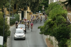 2014_Montallegro_121