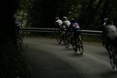 2014_Montallegro_211