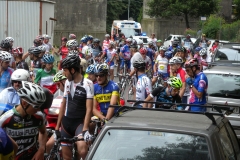2014_Montallegro_236