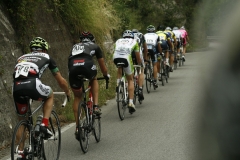 2014_Montallegro_264