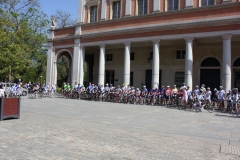 2013_Reggio_007