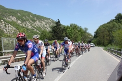 2013_Reggio_027