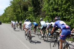 2013_Reggio_028