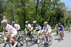 2013_Reggio_029