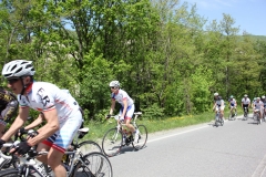 2013_Reggio_031