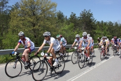 2013_Reggio_035