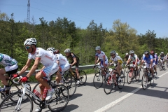 2013_Reggio_036