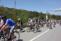 2013_Reggio_037