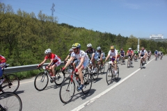 2013_Reggio_038