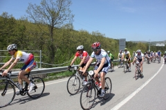 2013_Reggio_039