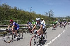 2013_Reggio_040