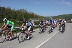 2013_Reggio_043