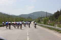 2013_Reggio_050