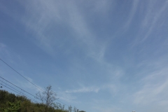 2013_Reggio_061