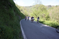 2013_Reggio_104