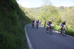 2013_Reggio_105