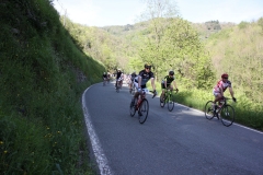 2013_Reggio_107