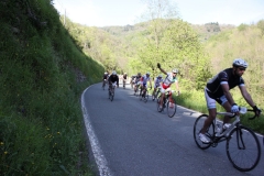2013_Reggio_109