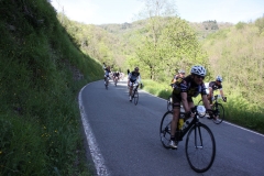 2013_Reggio_110