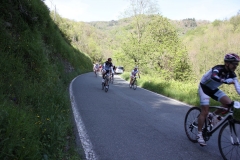 2013_Reggio_111
