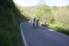 2013_Reggio_113
