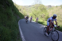 2013_Reggio_114