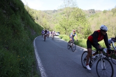 2013_Reggio_116