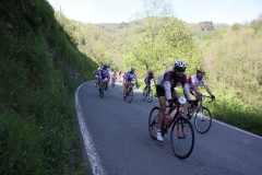 2013_Reggio_117