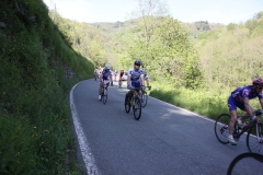 2013_Reggio_118