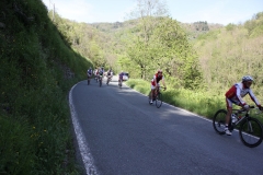 2013_Reggio_119