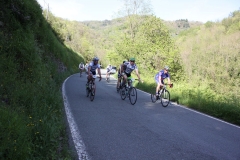 2013_Reggio_120
