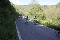 2013_Reggio_121