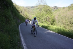 2013_Reggio_122
