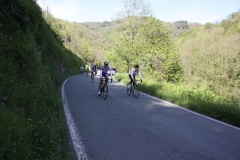 2013_Reggio_124