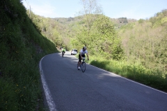 2013_Reggio_129