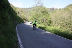 2013_Reggio_130