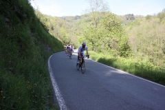 2013_Reggio_132