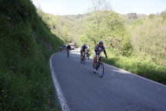 2013_Reggio_134