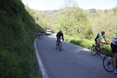 2013_Reggio_136