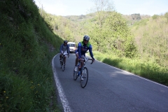 2013_Reggio_137