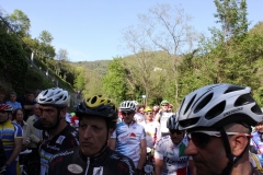 2013_Reggio_150