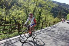 2013_Reggio_163