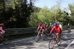 2013_Reggio_170